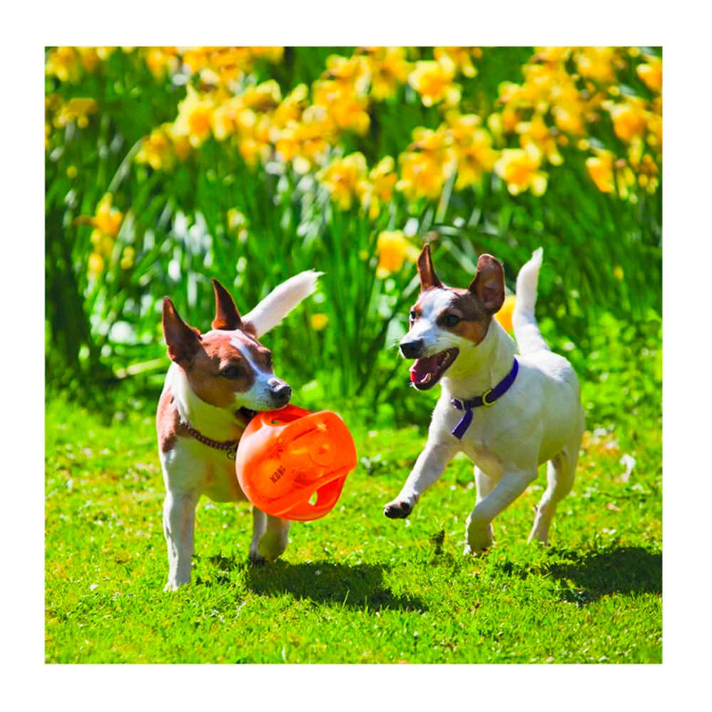 Kong jumbler pelota en colores surtidos para perros - Imagen 2