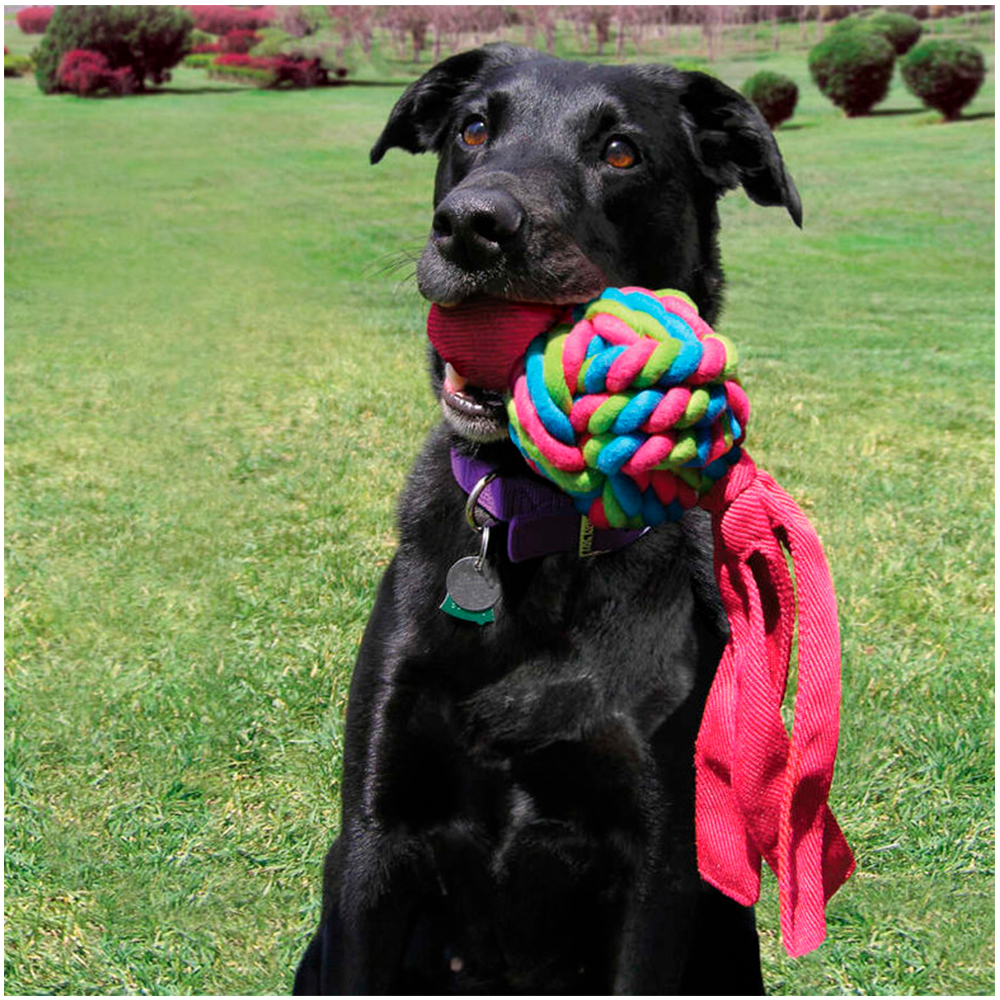 kong wubba weaves mordedor para perros
