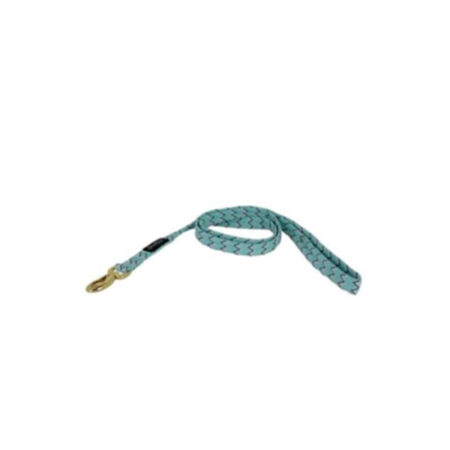 CORREA-DOOGY-BRASIL-TURQUESA-1.2m-x-20mm