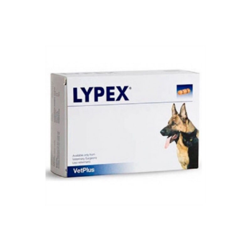 Lypex 60 capsulas para perro