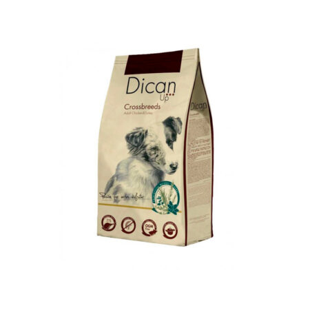 dican up perro cross breeds