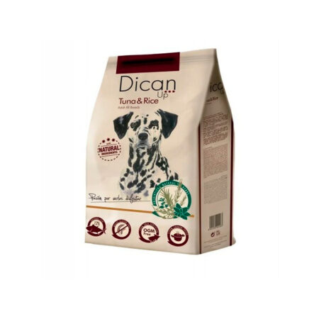 dican up perro salmon y arroz