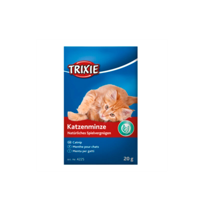 Hierba gatera para gato