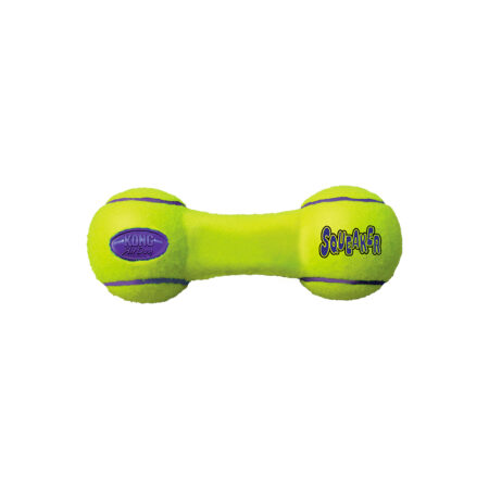 Kong airdog squeaker dumbell