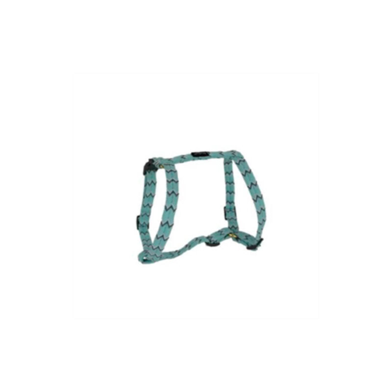 ARNES DOOGY BRASIL AJUSTABLE TURQUESA