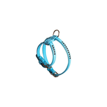ARNES DOOGY GLAMOROUS AZUL