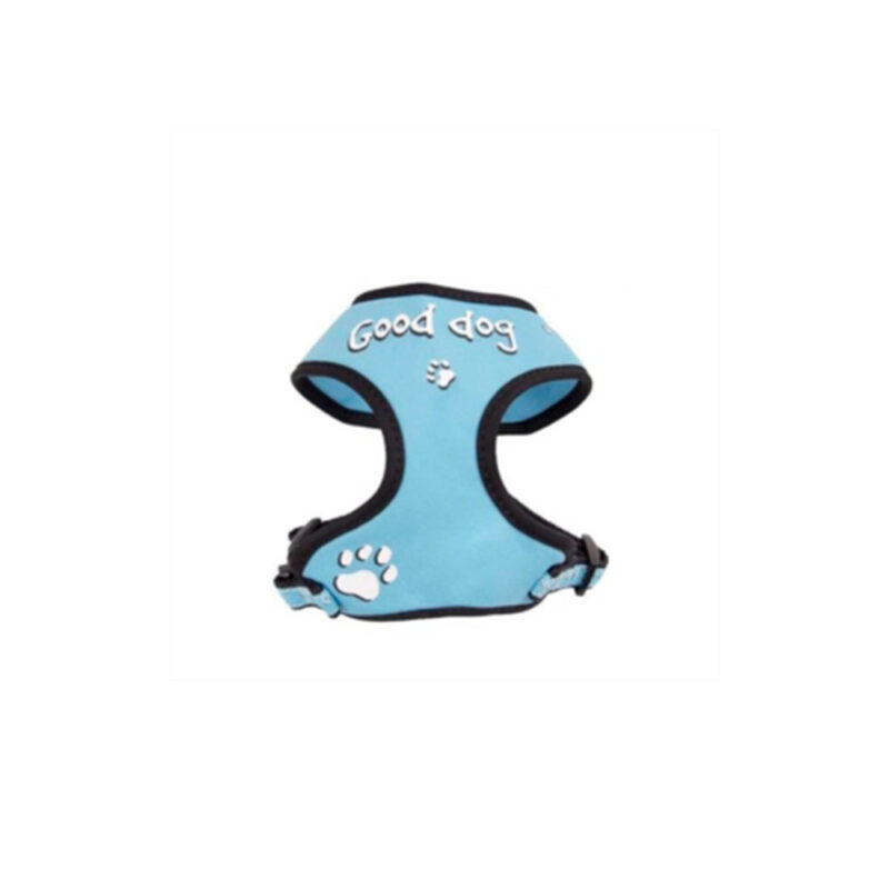ARNES DOOGY T-SHIRT RELAX FANTASIA GOOD DOG AZUL