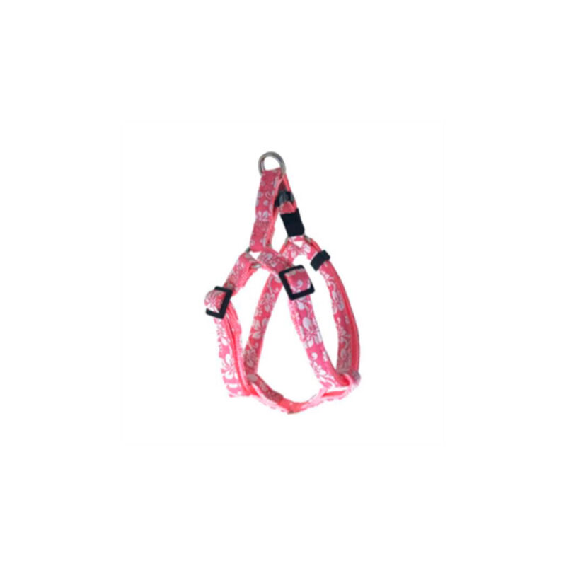 ARNES DOOGY TAHITI ROSA