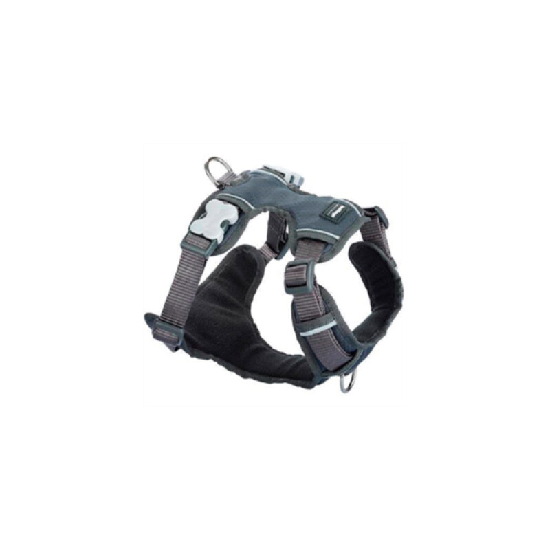 ARNES RED DINGO ACOLCHADO GRIS