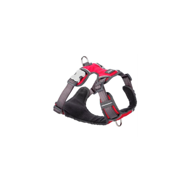 ARNES RED DINGO ACOLCHADO ROJO