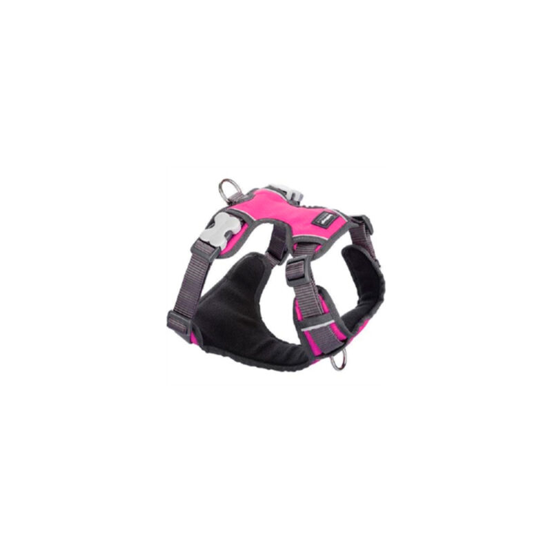 ARNES RED DINGO ACOLCHADO ROSA