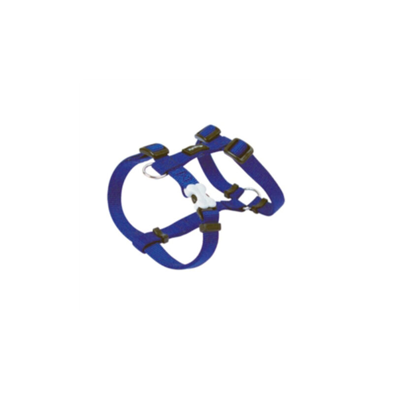 ARNES RED DINGO BASIC AZUL