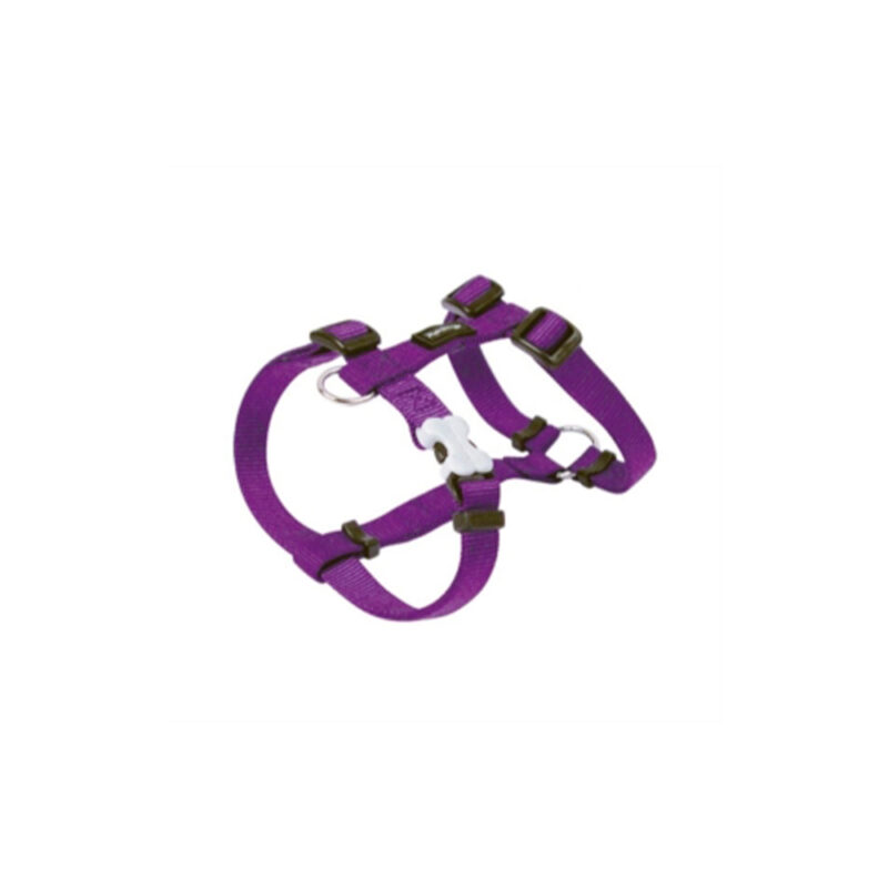 ARNES RED DINGO BASIC MORADO