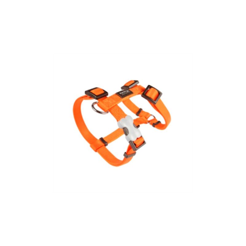 ARNES RED DINGO BASIC NARANJA