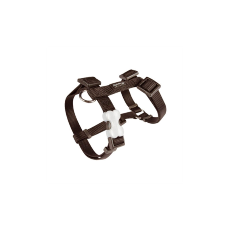 ARNES RED DINGO BASIC NEGRO