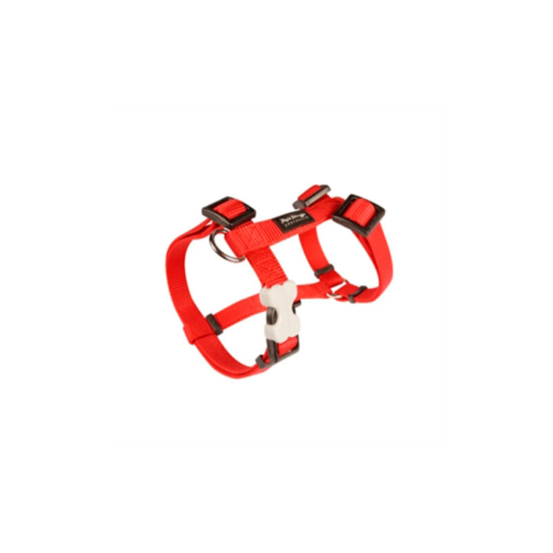 ARNES RED DINGO BASIC ROJO