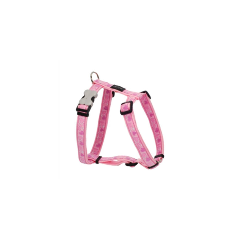 ARNES RED DINGO FANTASIA BREEZY LOVE ROSA