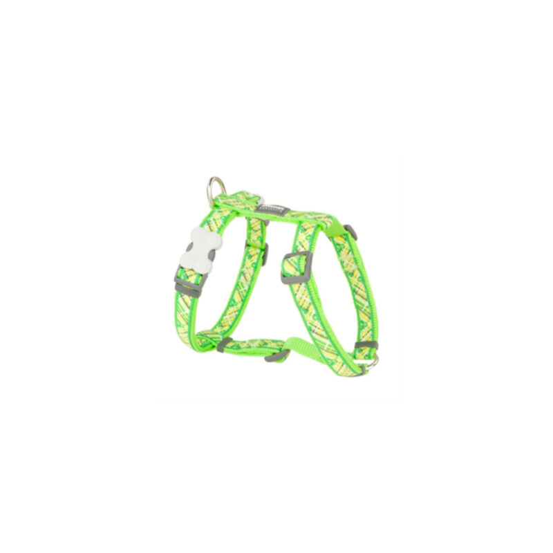 ARNES RED DINGO FANTASIA FLANNO VERDE LIMA
