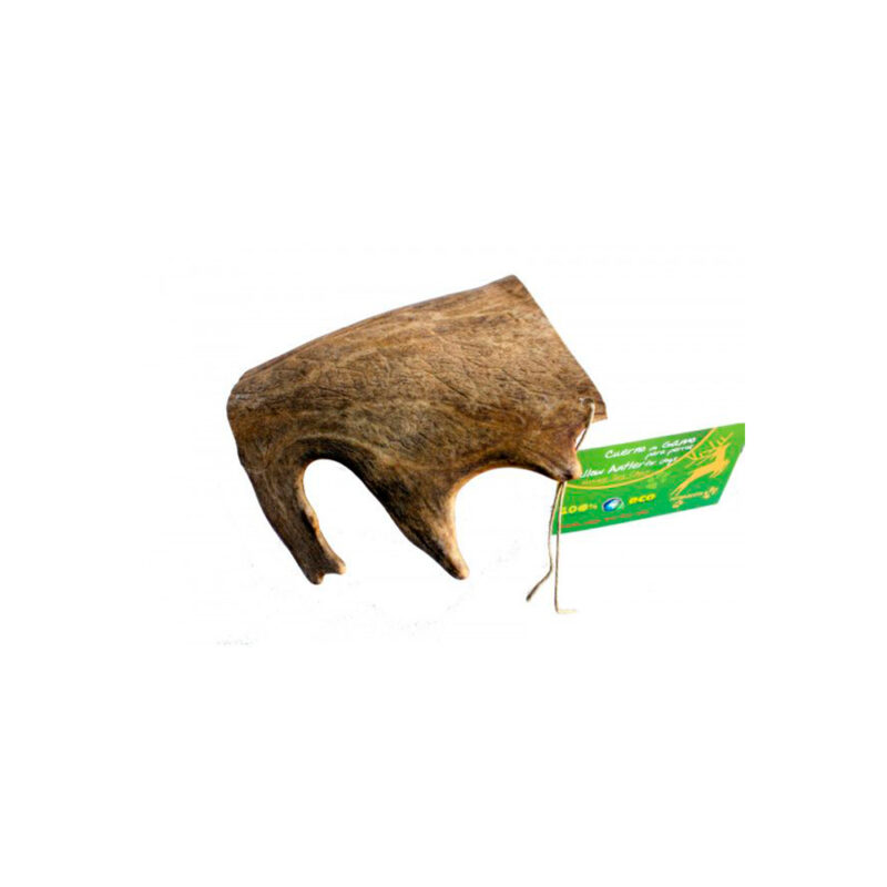 Asta de gamo talla M-L - Imagen 2