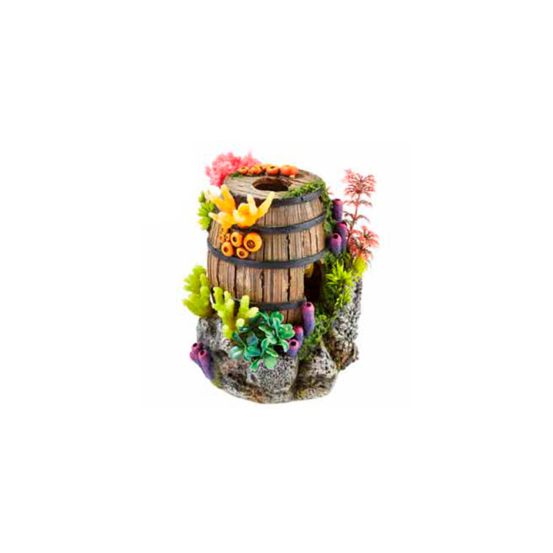 Barril con plantas y coral