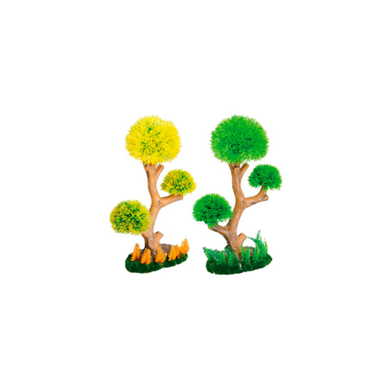 Bonsai