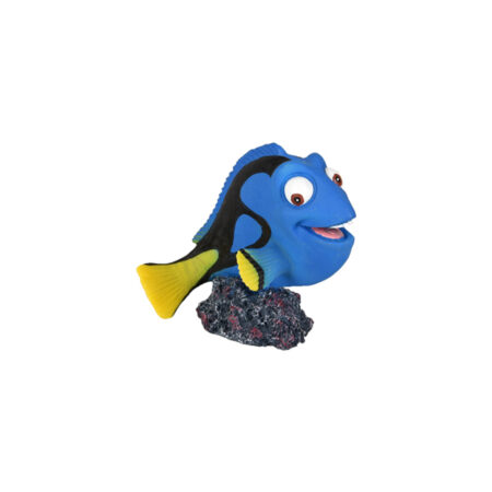 Pez Cirujano
