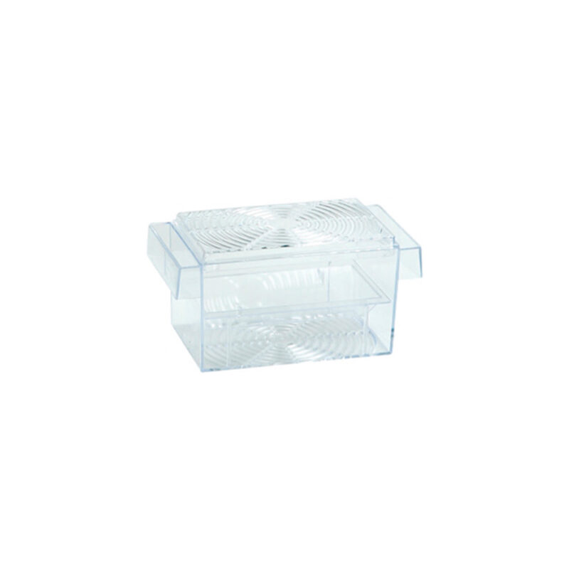 Tanque guppy cuadrado