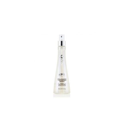 YUUP PROFESIONAL SPRAY VOLUMINIZADOR ACCION RELLENADORA 250ml