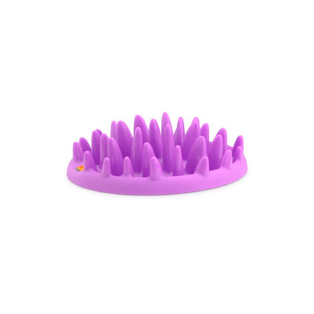 Comedero northmate violeta