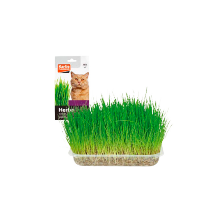 Hierba 100gr