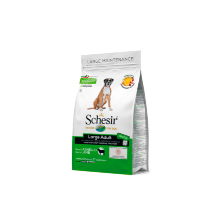 Schesir Large mantenimiento cordero