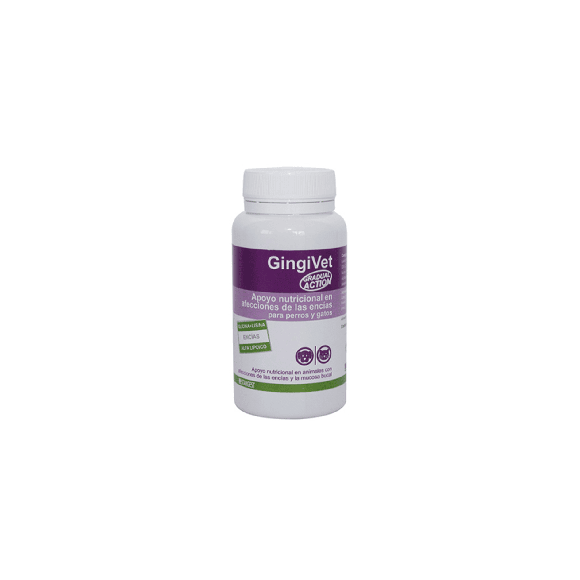 GINGIVET 60 COMP