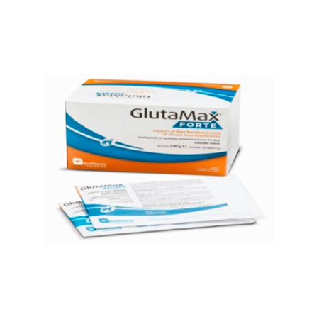 GLUTAMAX FORTE 120 COMPRIMIDOS