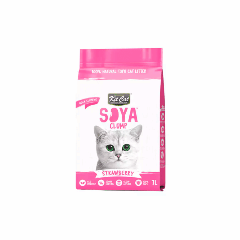 Kit Cat Arena Eco SoyaClump Fresa para Gatos