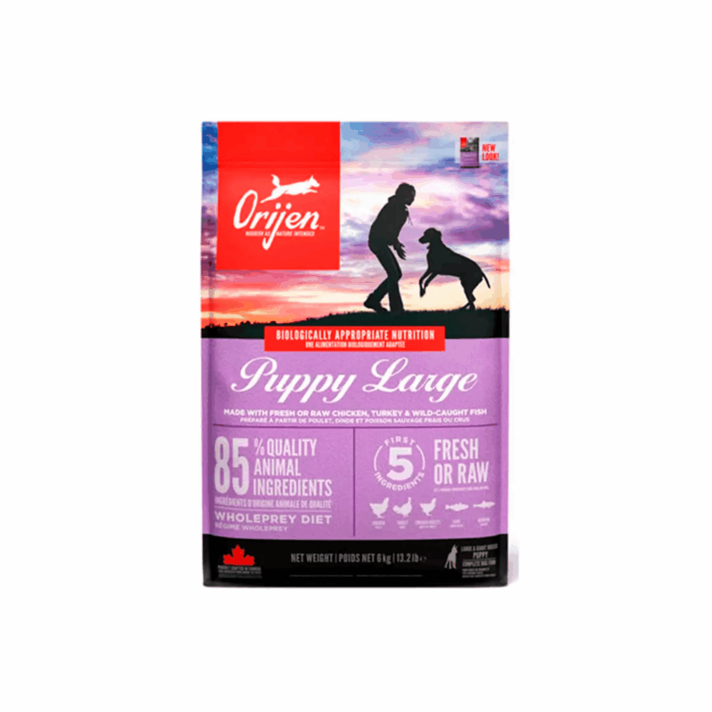 Orijen Puppy Large Breed 6KG