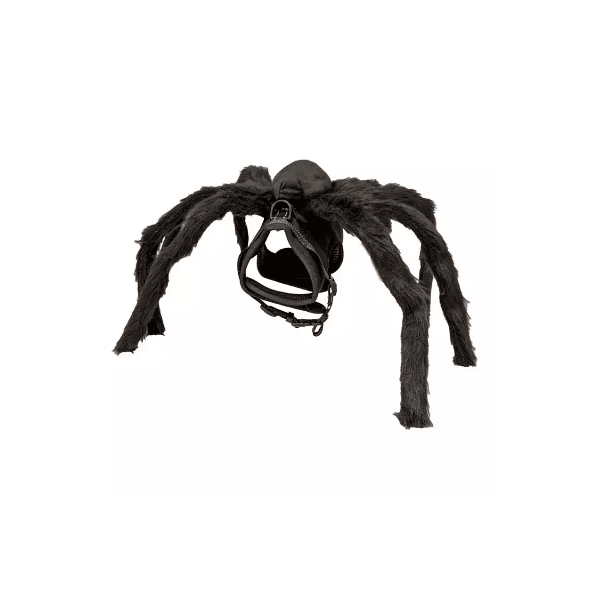 Petral Fright Halloween Spider para Perros