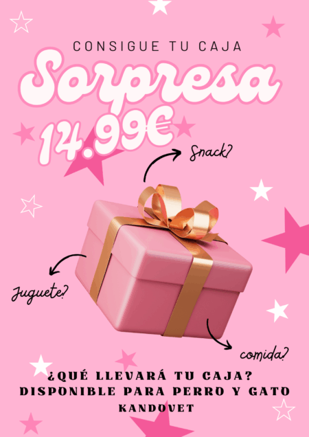 Flyer regalo exclusivo promocional cosmeticos llamativo rosa