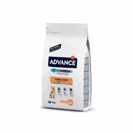 Advance Yorkshire Terrier Adult