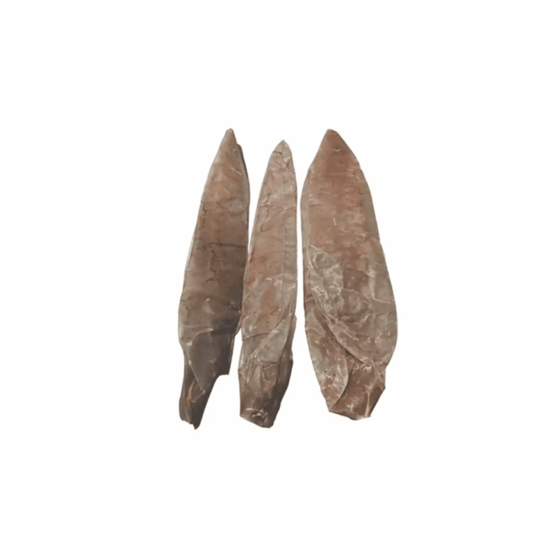 Snack a Granel Vejiga de Búfalo Natural para Perros