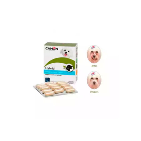 Care Hybrid La Solucion para el Lagrimal