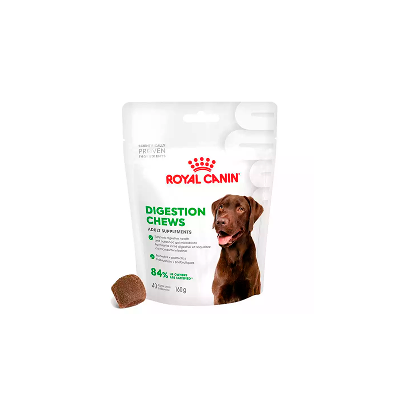 Royal Canin Digestive Support Suplemento para Perros 160g