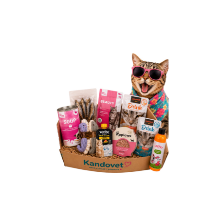 summer catbox