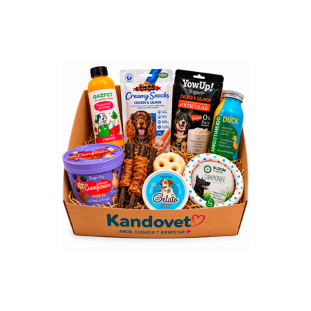 summer dogbox
