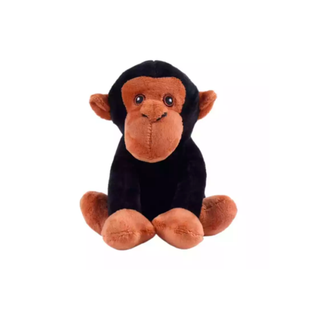 chimpace